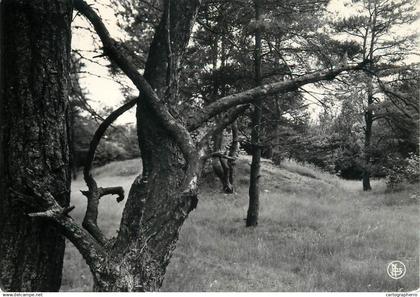 Belgium Zutendaal (Broek) Kampeerterrein Stelebos