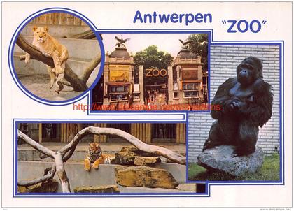 Zoo Antwerpen