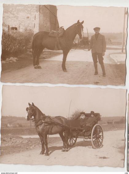 lot 2 cartes photos chevaux  beaumont