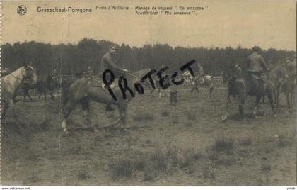 Brasschaat :  ecole artillerie  (  paard - cheval )