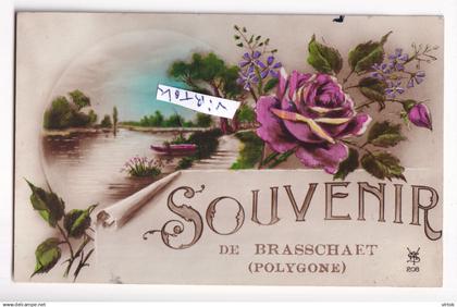 Brasschaat  (  Polygone )  souvenir  (  met zegel )