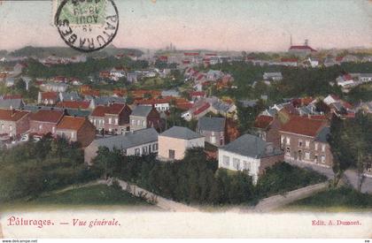 BELGIQUE - HAINAUT - COLFONTAINE - PATURAGES - Vue générale - 13-08-24