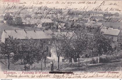 BELGIQUE - HAINAUT - COLFONTAINE - WASMES - Panorama pris de Wasmes - Animation - 13-08-24