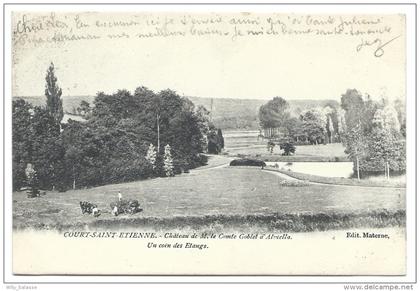 Carte Postale - COURT SAINT ETIENNE - Château de M. le comte Goblet d'Alviella - Un coin des étangs - CPA  //