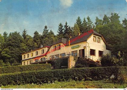 Auberge La Sapinière - Vieille route de Rocroi - Couvin