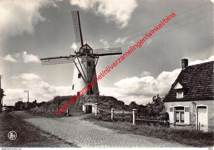 De Molen - Damme