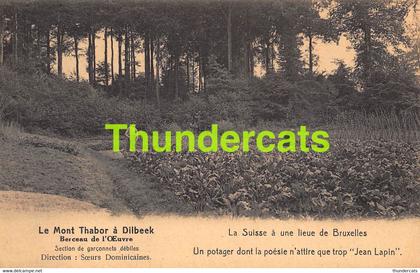 CPA DILBEEK LE MONT THABOR A DILBEEK