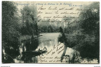 CPA - Carte Postale - Belgique - Drogenbos - Droogenbosch - L'Etang du Château de M. Calmeyn (D12317)