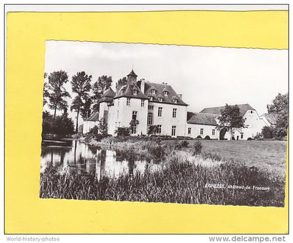 CPSM -   EGHEZEE - Château de Frocourt  - édition Palate