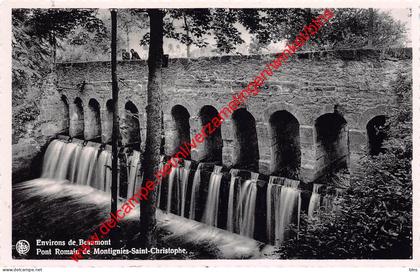 Pont Romain de Montignies-Saint-Christophe - Erquelinnes