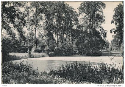 Evergem : Rijkstehuis voor schipperskinderen :  een hoekje uit het park met vijver