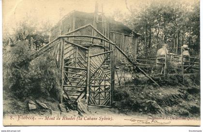 CPA - Carte postale - Belgique - Flobecq - Mont de Rhodes - la Cabane Sylvie  - 1905 (AT16583)