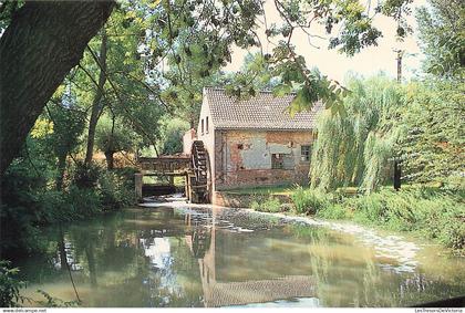 Belgique - Gooik - Da Sint Waltrudis molen te Herne - Pajottenland - Uitgave VVV Markevallei - Roue - Carte postale