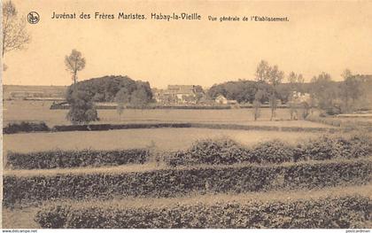 Belgique - HABAY LA VIEILLE (Lux.) Juvénat des Frères Maristes - Vue d'ensemble de l'Établissement