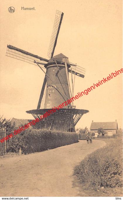 Molen - Hamont-Achel