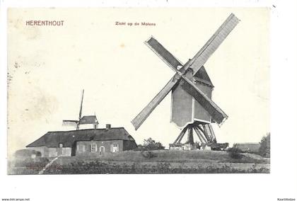 Herenthout - Zicht op de Molens - Moulin.