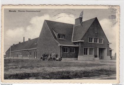 Herzele. NIeuwe Gemeenteschool. *