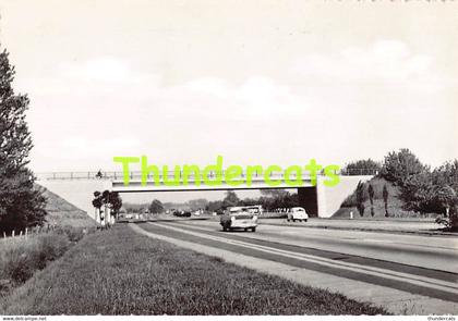 CPSM JABBEKE VIADUCT