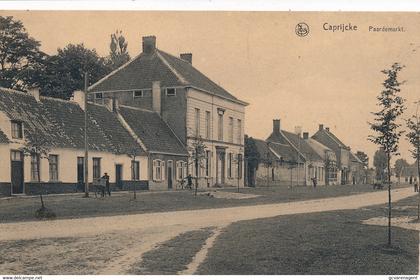 KAPRIJKE   PAARDEMARKT     2 SCANS