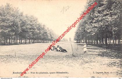 Parc Elisabeth - vue du plateau - Koekelberg