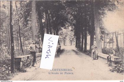 Kortenberg - Cortenberg :  L'allée du Prince