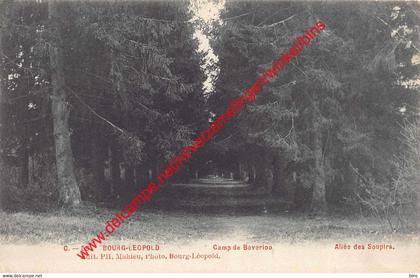 Allée des Soupirs - Camp de Beverloo - Leopoldsburg (Kamp van Beverloo)