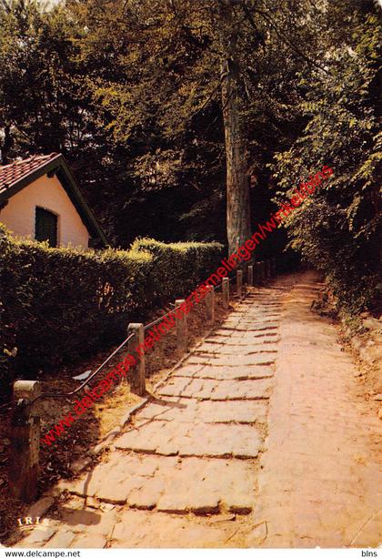 Escalier de la rue de l'Eglise - Trap der Kerkstraat - Linkebeek