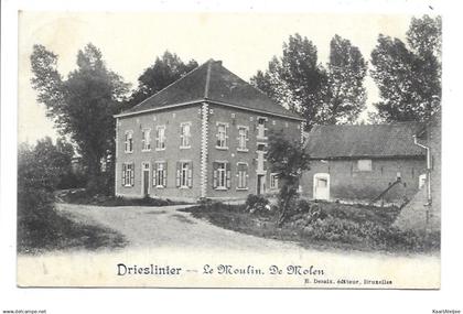 Drieslinter - De molen - Moulin.