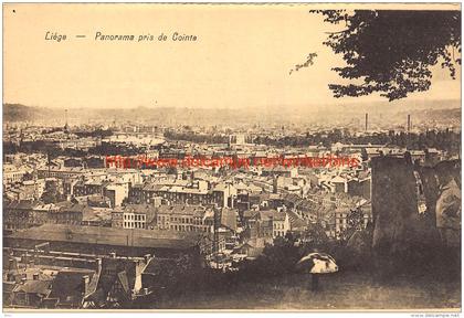 Panorama pris de Cointe - Liege