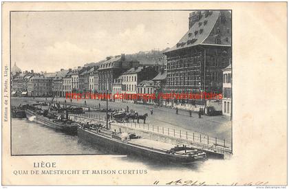 Quai de Maestricht et Maison Curtius - Liege