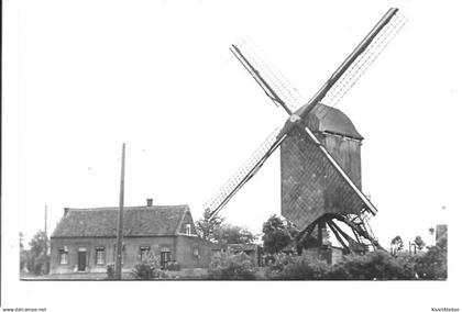 Meerhout-Zittaart - Molen.