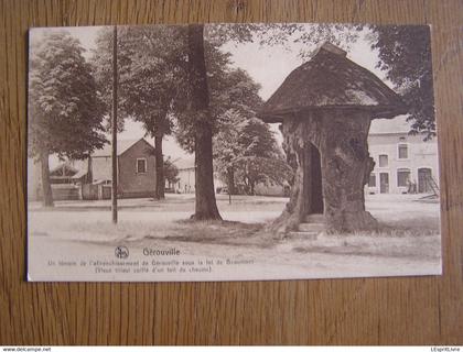 GEROUVILLE Le Vieux Tilleul Commune Meix Devant Virton Luxembourg Gaume Belgique Carte Postale Postcard