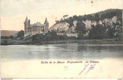 Profondeville, Le Chateau