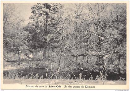 CPM - Maison de cure de SAINTE-ODE - Un des étangs du Domaine