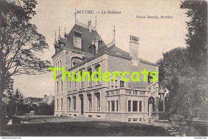 CPA NETTINE LE CHATEAU