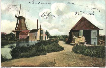 CPA Carte postale Belgique Souvenir de Belgique 1904.VM73614