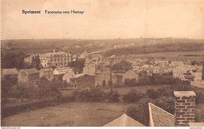 SPRIMONT (Liège) Panorama vers Hornay