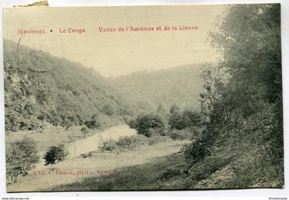 CPA - Carte Postale - Belgique - Stoumont - Le Congo - Vallée de l'Amblève et de la Lienne - 1910 (M7474)