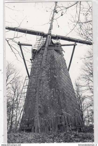 Tessenderlo. Schaliënmolen. *