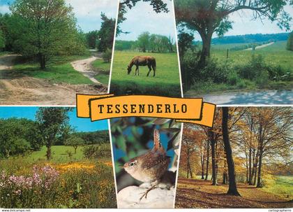 Tessenderlo views postcard