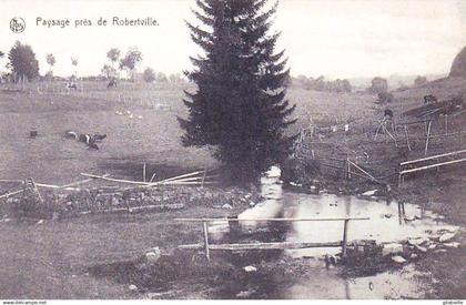 Waimes Weismes - Robertville -  paysage pres de Robertville