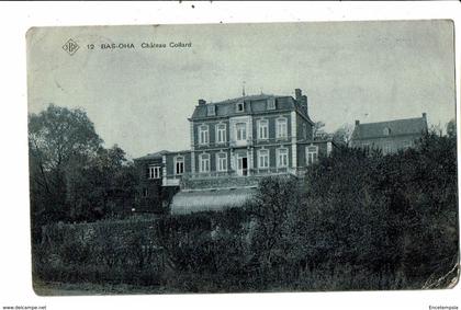 CPA- Carte postale -Belgique-Bas Oha Château Collard -1911-VM18478