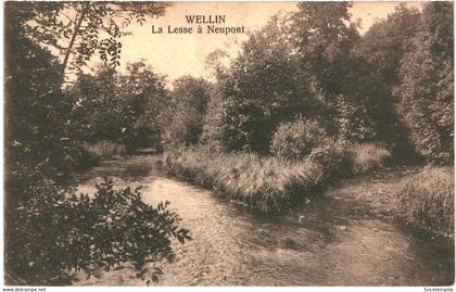 CPA Carte Postale Belgique-Wellin La Lesse à Neupont 1930 VM50977