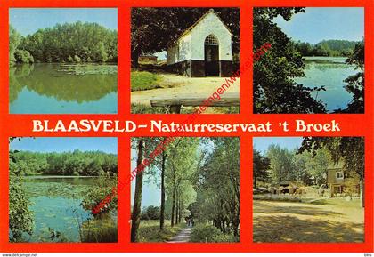 Natuurreservaat 't Broek - Blaasveld Willebroek