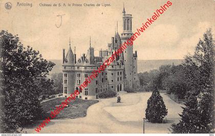 Château de S.A. le Prince Charles de Ligne - Antoing