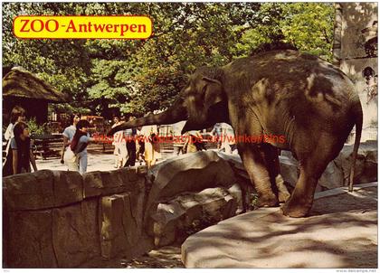 Zoo Antwerpen