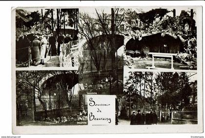 CPA - Cartes postales-Belgique - Beauraing- Souvenir de Beauraing-1934- S4561