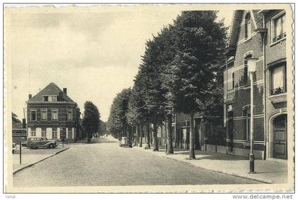 Beerse : Lindenlaan