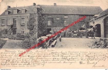 Beeringen - Brasserie Van Herck - Campine Limbourgeoise - Beringen