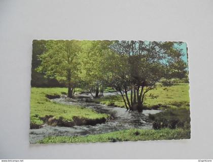 BERTRIX Ruisseau des Munos  CPSM Carte postale PK Post Kaart Card